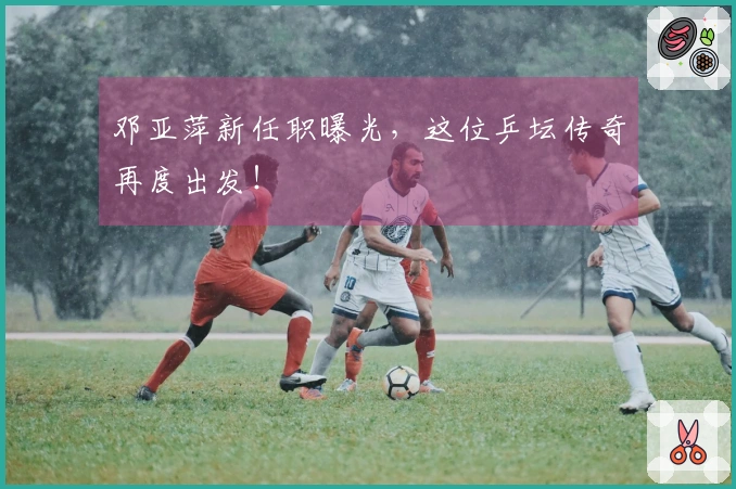 邓亚萍新任职曝光，这位乒坛传奇再度出发！