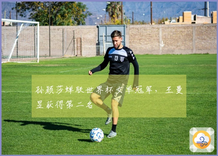 孙颖莎蝉联世界杯女单冠军，王曼昱获得第二名